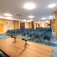 Fiald Hotel - Conferinte